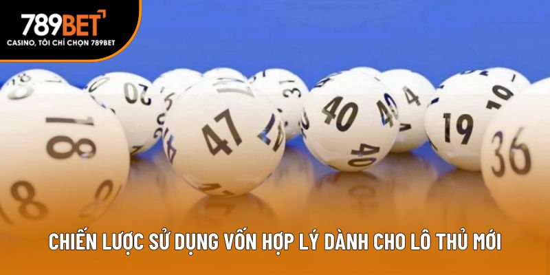 Chiến lược sử dụng vốn hợp lý dành cho lô thủ mới
