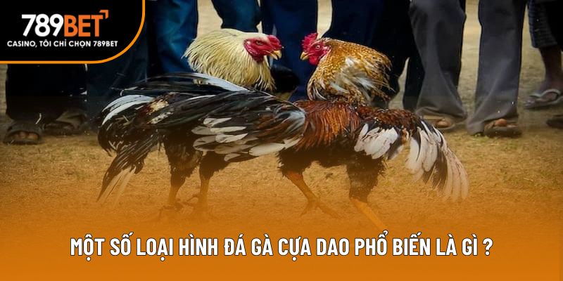 Một số loại hình đá gà cựa dao phổ biến là gì?