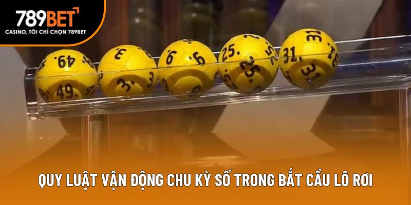 Quy luật vận động chu kỳ số trong bắt cầu lô rơi